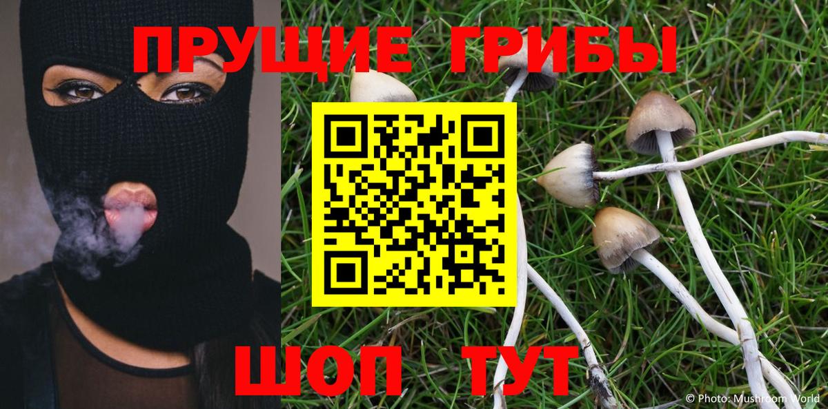 Оренбург  Псилоцибиновые грибы Psilocybe  купить закладку  Псилоцибиновые грибы ЛСД  Вход с VPN 